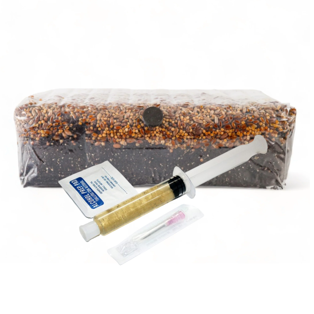 All-in-one Grow Kit - (3lb Substrate + Spores)