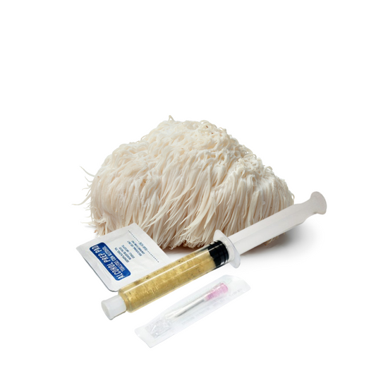 Lion's Mane Culture Syringe - 10cc