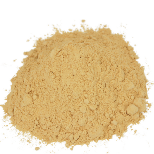 Lion's Mane Powder 1 lb.